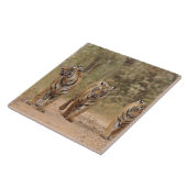 ベンガ王室のルの虎がトラックのランタンホール タイル (側面)