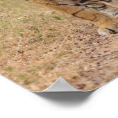 ベンガ王室のルの虎がトラックのランタンホール ポスター (角)