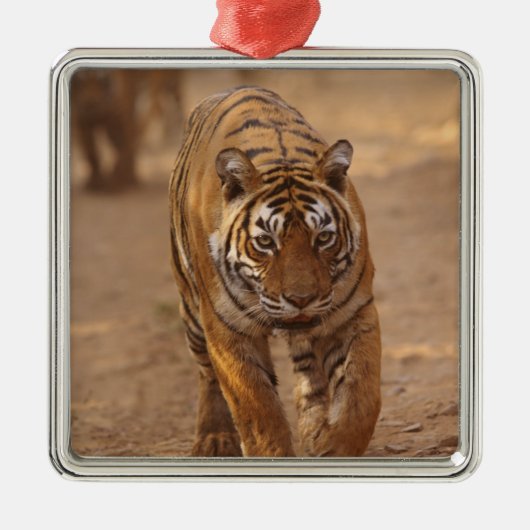 ベンガ王室のルの虎がトラックのランタンホール メタルオーナメント (正面)