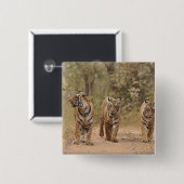 ベンガ王室のルの虎がトラックのランタンホール 缶バッジ (正面&裏面)