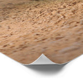 ベンガ王室のルの虎が移動するランタンブール ポスター (角)