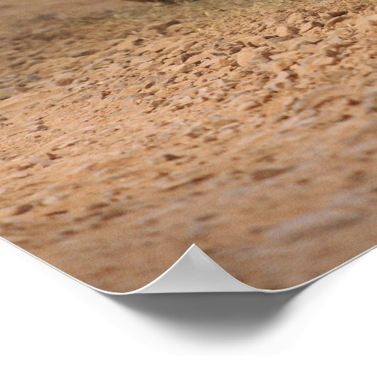 ベンガ王室のルの虎が移動するランタンブール ポスター (角)