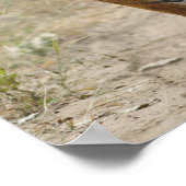 ベンガ王室のル・タイガーと若いランタンホール ポスター (角)