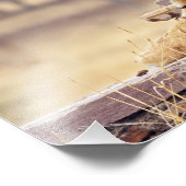 ベンガ王室のル・タイガーの墓に フォトプリント            (角)