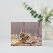 ベンガ王室のル・タイガーの墓に ポストカード (スタンド正面)