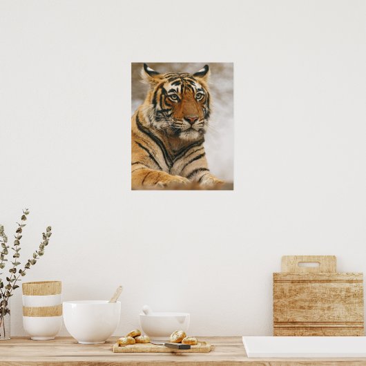 ベンガ王室のル・タイガーの岩、ランタンブール ポスター (キッチン)