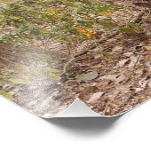 ベンガ王室のル・タイガー登山が木を登り フォトプリント (角)