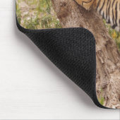 ベンガ王室のル・タイガー登山が木を登り マウスパッド (コーナー)