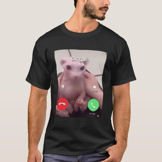 ベングスが愛猫の毛のないスフィンクスを呼んでいる Tシャツ (正面)