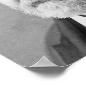 ベンジャミンハリソン23 ポスター (角)