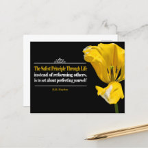 ベンジャミン感動的ハイドン引用文「原則」