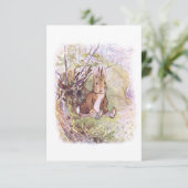 ベンジャミン・バニー(Beatrix Potter) カード (スタンド正面)