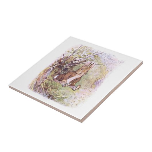 ベンジャミン・バニー(Beatrix Potter) タイル (側面)