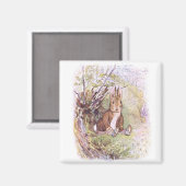 ベンジャミン・バニー(Beatrix Potter) マグネット (正面/裏面)