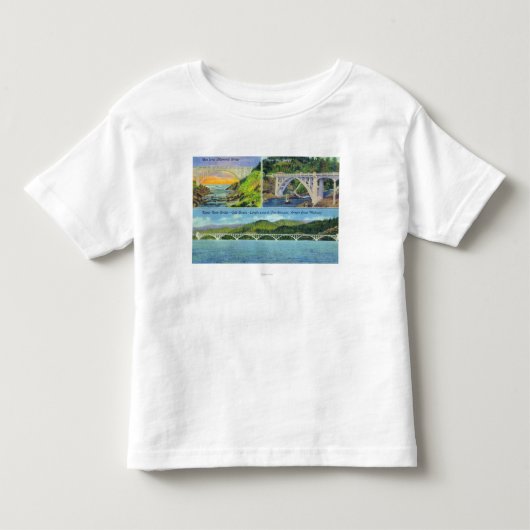 ベンジョーンズの眺め トドラーTシャツ (正面)