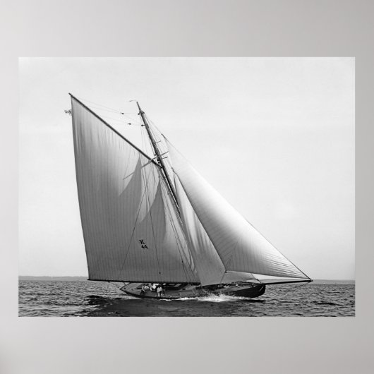 ベンセドールレドゥックス ポスター (正面)