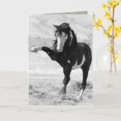 ベンソンがワイルドホースのグリーティングカードを打ち消す カード (黄色い花)