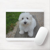 ベンチでtulear coton de マウスパッド (マウス)