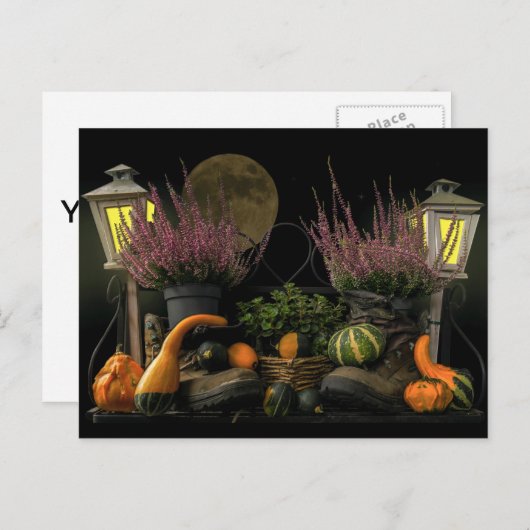 ベンチと秋収穫の感謝祭の日景 シーズンポストカード (正面/裏面)