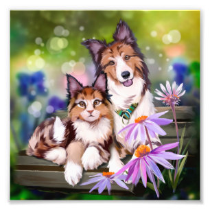 ベンチに座っている犬と猫 フォトプリント
