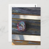 ベンチに絵を描隠された小さなハートの岩 ポストカード (正面/裏面)