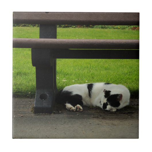 ベンチの下の白黒猫 タイル (正面)