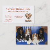 ベンチの無頓着な救助犬 名刺 (正面/裏面)