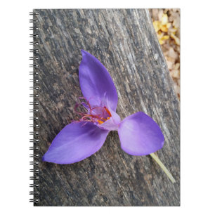 ベンチの紫色の花 ノートブック