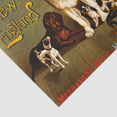 ベンチショー。ニューイングランドケネルクラブ 薄葉紙 (詳細)