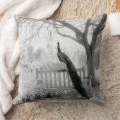 ベンチピーコック クッション (ブランケット)