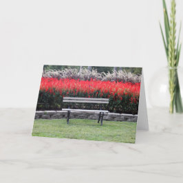 ベンチレッドフローラ写真 カード