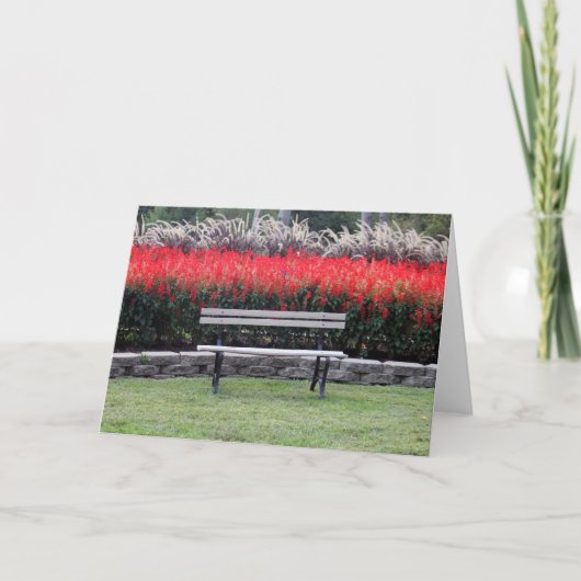 ベンチレッドフローラ写真 カード (正面)