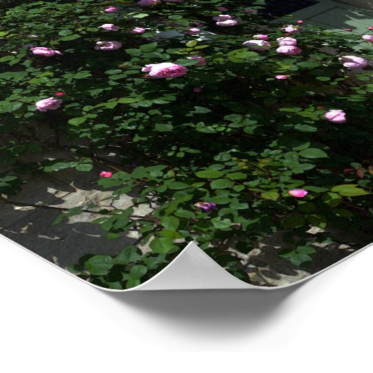 ベンチ付きグリーンガーデンゲート ポスター (角)