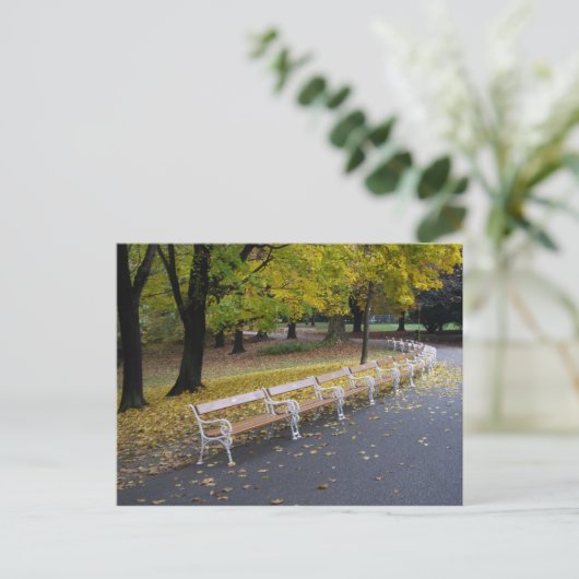 ベンチ ポストカード (スタンド正面)