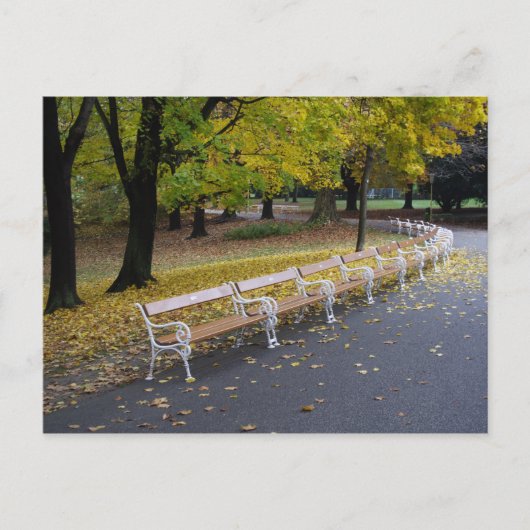 ベンチ ポストカード (正面)