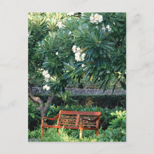 ベンチ ポストカード (正面)
