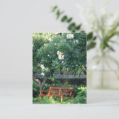 ベンチ ポストカード (スタンド正面)