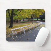 ベンチ マウスパッド (マウス)