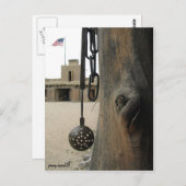 ベンツオールドフォートはがき ポストカード (正面/裏面)