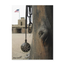 ベンツオールドフォートはがき