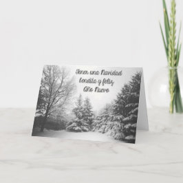 ベンディタナビダッド シーズンカード