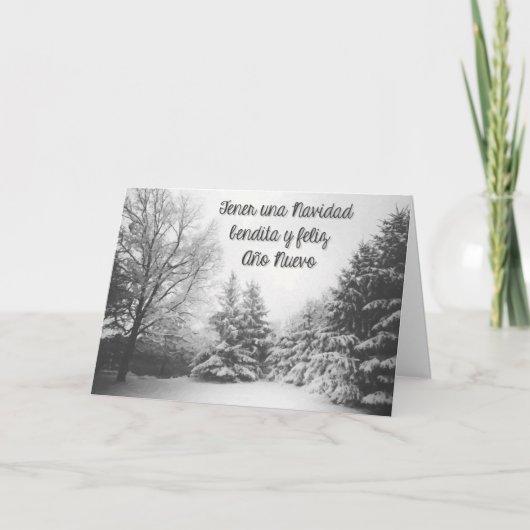 ベンディタナビダッド シーズンカード (正面)