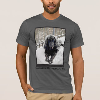 ベントレーグレーTシャツ Tシャツ