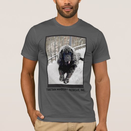 ベントレーグレーTシャツ Tシャツ (正面)