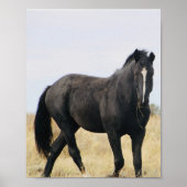 ベントレー ポスター (正面)