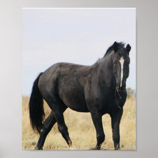 ベントレー ポスター