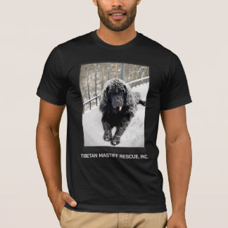 ベントレー Tシャツ ブラック