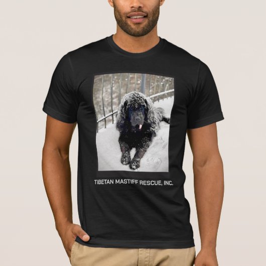 ベントレー Tシャツ ブラック (正面)