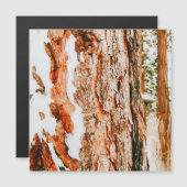 ベンドのウィンターワンダーランド - オレゴン州 (正面/裏面)