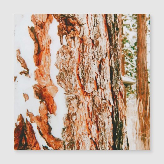 ベンドのウィンターワンダーランド - オレゴン州 (正面)